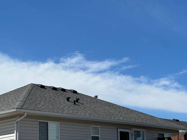 Professional  Roofing repair and installation in Cedar Hill, TX